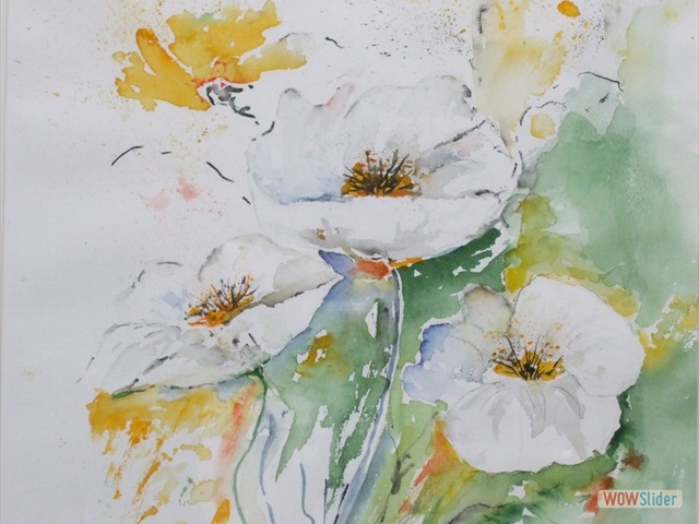 Bild 005