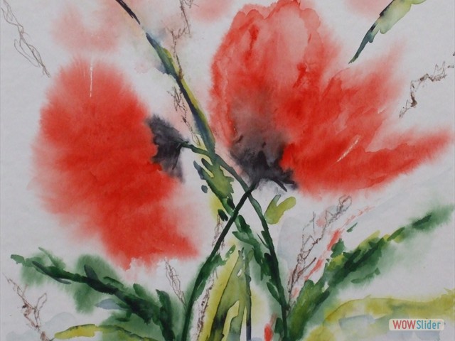 Bild 006