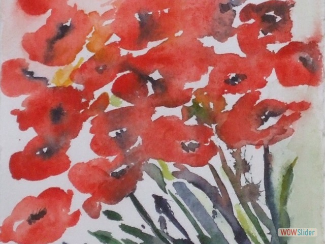 Bild 020