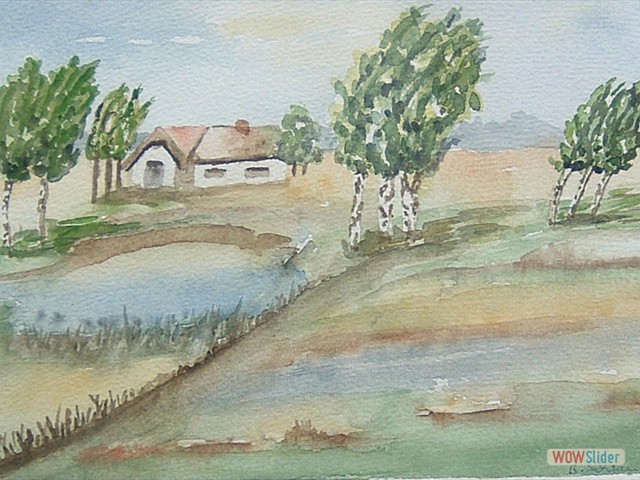 DSCF0103