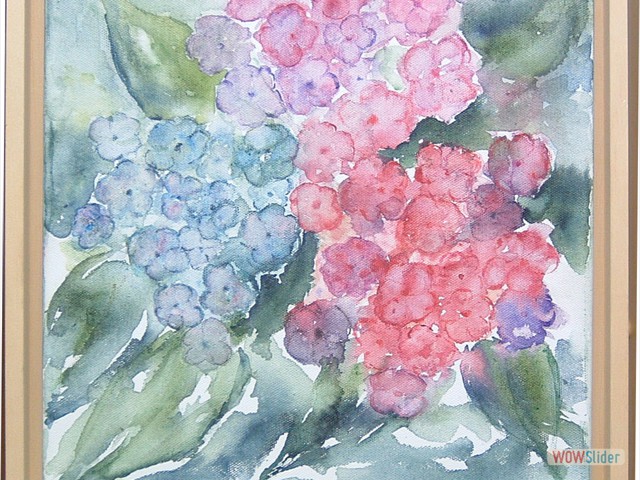 DSCF0109