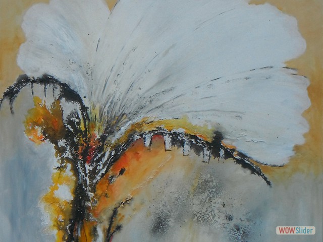 Metamorphose4
